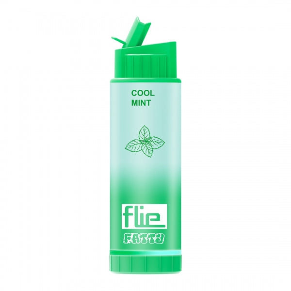 File Fatty Cool Mint 8000 Puff