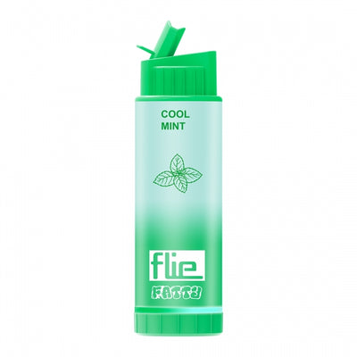 File Fatty Cool Mint 8000 Puff