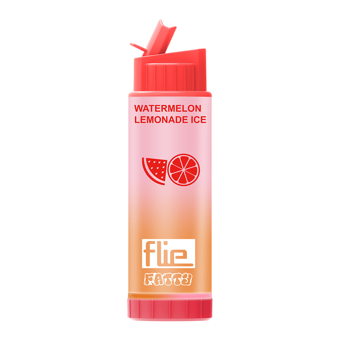 File Fatty Watermelon Lemonade Ice 8000 Puff