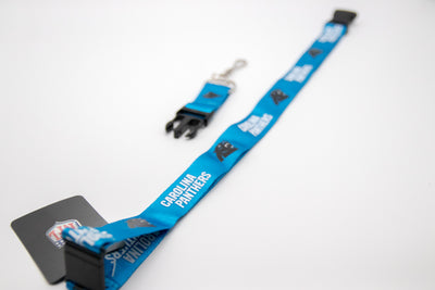 Carolina Panthers 2-Piece Lanyard