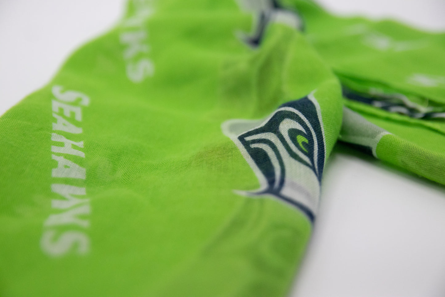 Seattle Seahawks Infinity Scarf